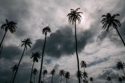 Low angle view of palm trees against cloudy sky