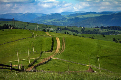 Scenic view of agricultural field against sky