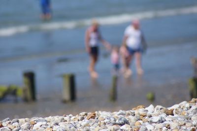 Rear view of people walking on beach