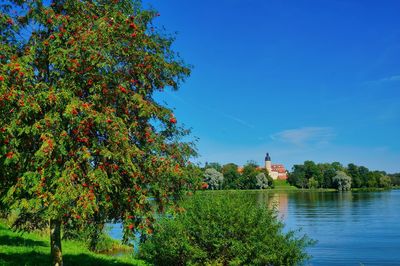 Trees by lake against sky during autumn