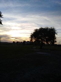 Silhouette trees on field against sky during sunset