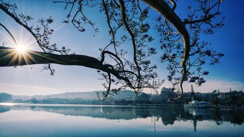 Reflection of trees in lake against sky