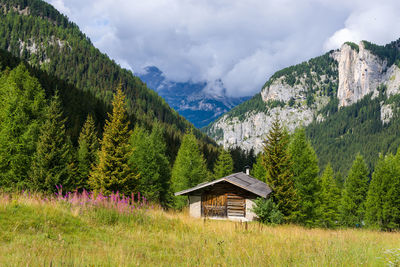 Scenic view of tree mountains against sky