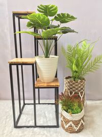 Potted plants on table