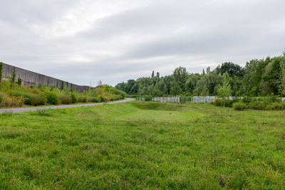 Trees on field against sky