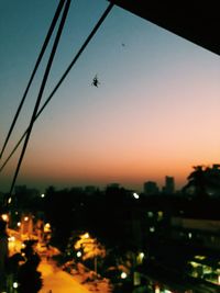 Silhouette of birds flying in city