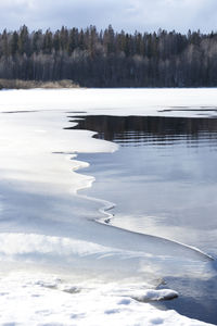 Melting of ice on the lake in early spring. trees, sky and clouds are reflected in the water.