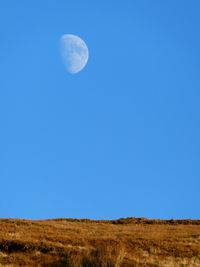 Scenic view of moon in field against clear blue sky