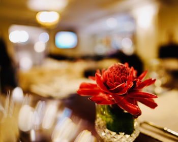 Close-up of red rose flower vase on table