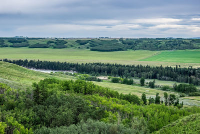 Scenic view of agricultural field against sky