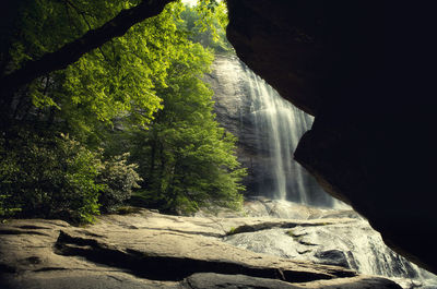 Scenic view of waterfall in forest