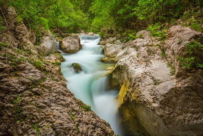 Scenic view of waterfall in forest