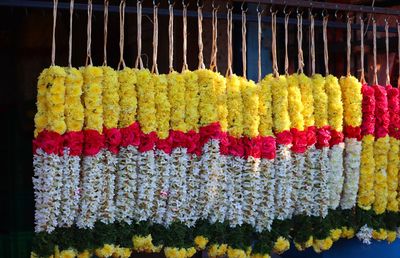 Close-up of multi colored flowers hanging on clothesline