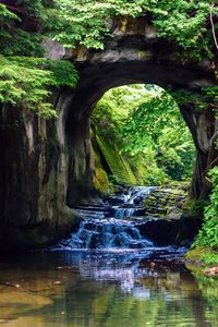 Scenic view of waterfall in forest