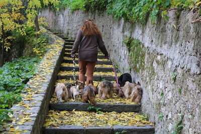 Rear view of woman with dog