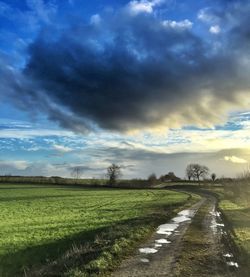 Scenic view of agricultural field against sky