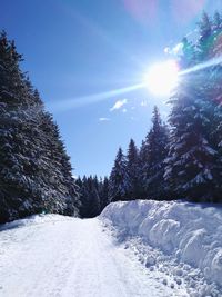 Snow covered trees against sky on sunny day