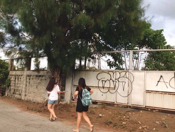 Full length rear view of children on tree against sky