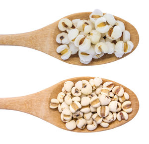 Directly above shot of ice cream against white background