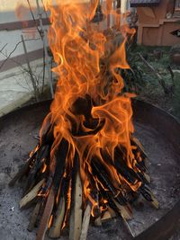 Bonfire on wooden log