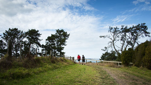 Rear view of people walking on road amidst trees against sky