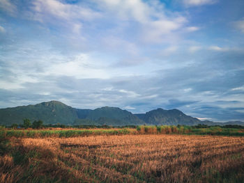 Scenic view of field against sky