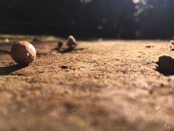 Surface level of ball on field