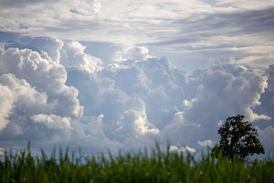 Scenic view of land against sky