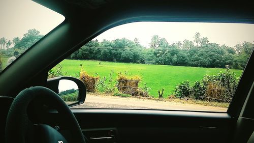 Close-up of car window