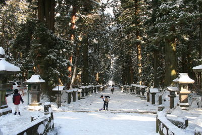 People walking on snow covered trees