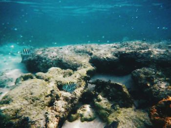 Rocks in sea