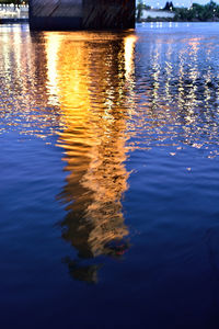 Reflection of trees in water