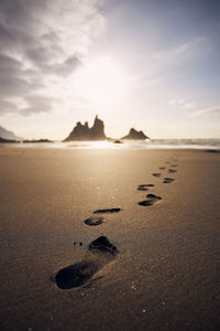 Footprints in sand on beach leading to sea. golden sunset in tenerife, canary islands, spain.