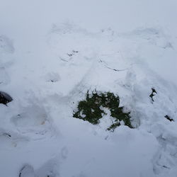 High angle view of snow covered landscape