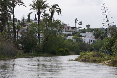 River amidst trees and houses against sky