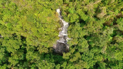 High angle view of waterfall in forest