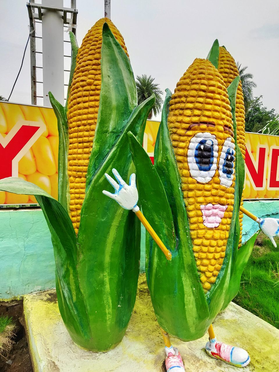 CLOSE-UP OF YELLOW FLAG ON PLANT