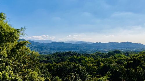 High angle view of trees and mountains against sky