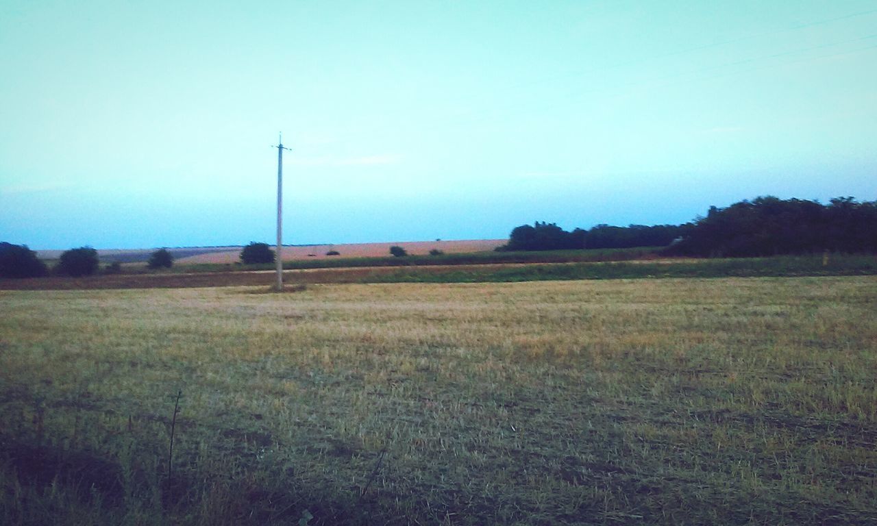 field, clear sky, landscape, tranquil scene, tranquility, copy space, grass, rural scene, blue, scenics, nature, beauty in nature, agriculture, grassy, tree, farm, growth, sky, horizon over land, non-urban scene