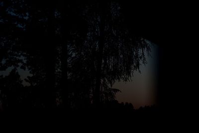 Low angle view of silhouette trees against sky at night