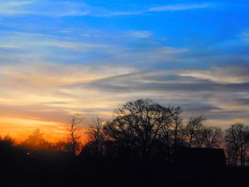 Silhouette trees against sky at sunset