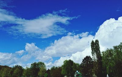 Low angle view of trees against blue sky