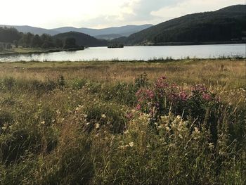 Scenic view of lake and mountains against sky