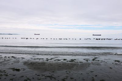 Scenic view of sea against sky