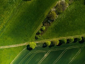 Scenic aerial view of ways lined with trees crossing between meadows and green fields in rural area