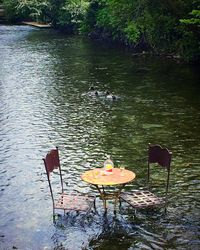 Swans swimming in lake