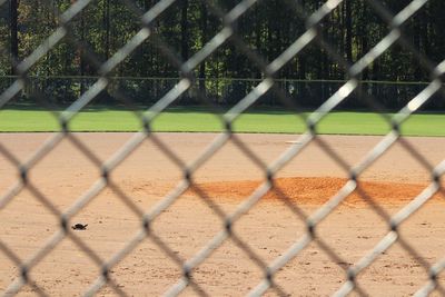 Close-up of chainlink fence