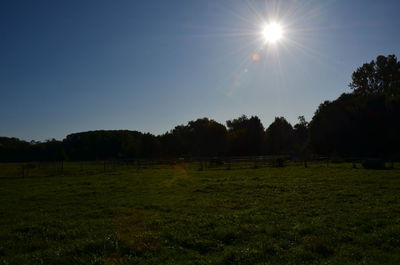 Scenic view of field against clear sky