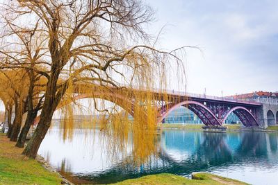 Arch bridge over river