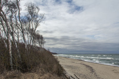 Scenic view of beach against sky